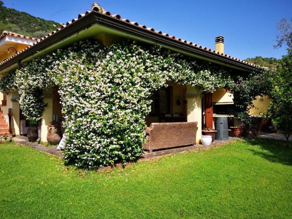 Villa Emilietta Villasimius Exterior foto
